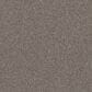Shaw Affirmation I Carpet in Granite, , large