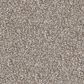 Revolution Mills Rainier Carpet in Lookout, , large