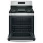 GE Appliances 2-Piece Kitchen Package with 30" Free-Standing Gas Range and 1.7 Cu. Ft. Over-the-Range Microwave in Stainless Steel, , large