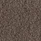Anderson Tuftex Luxe Feel II Carpet in Mesquite, , large