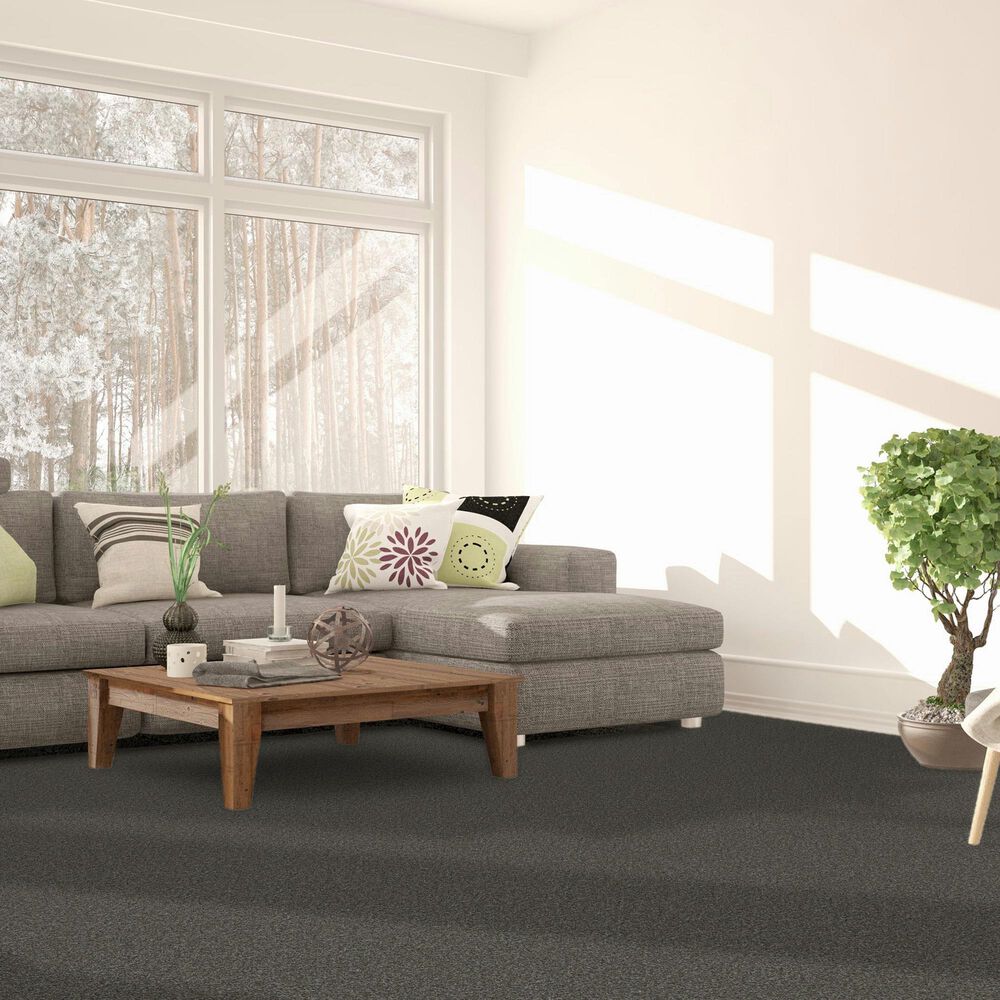 Dream Weaver Titan II Carpet in Pinehurst, , large