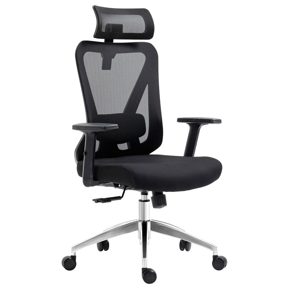 Rta Products Llc Truly Ergonomic Mesh Office Chair with Headrest and Lumbar Support in Black, , large