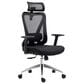 Rta Products Llc Truly Ergonomic Mesh Office Chair with Headrest and Lumbar Support in Black, , large