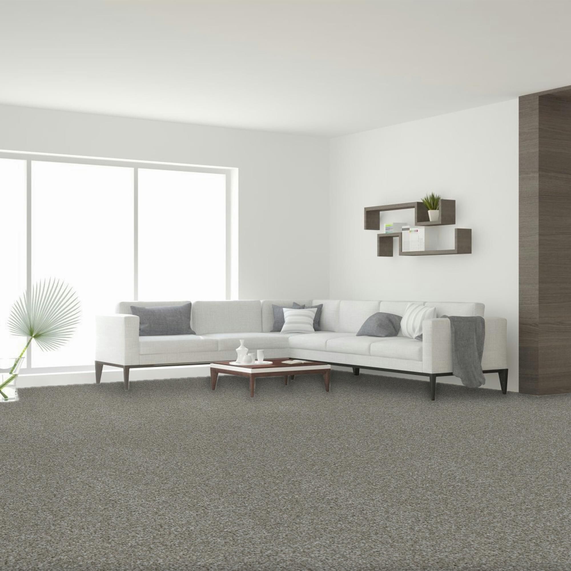 Dream Weaver Luxor II Carpet in Winterbrooke