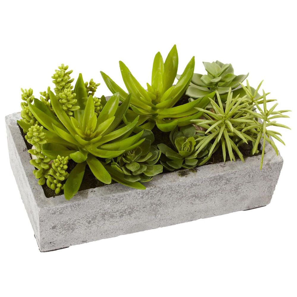 37B Succulent Garden with Concrete Planter, , large