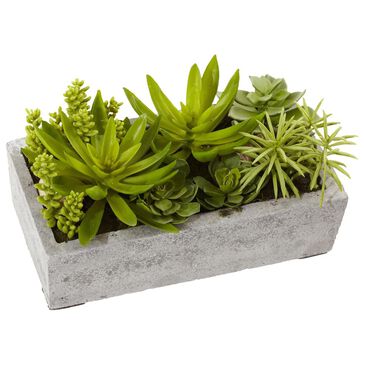 37B Succulent Garden with Concrete Planter, , large