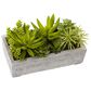 37B Succulent Garden with Concrete Planter, , large