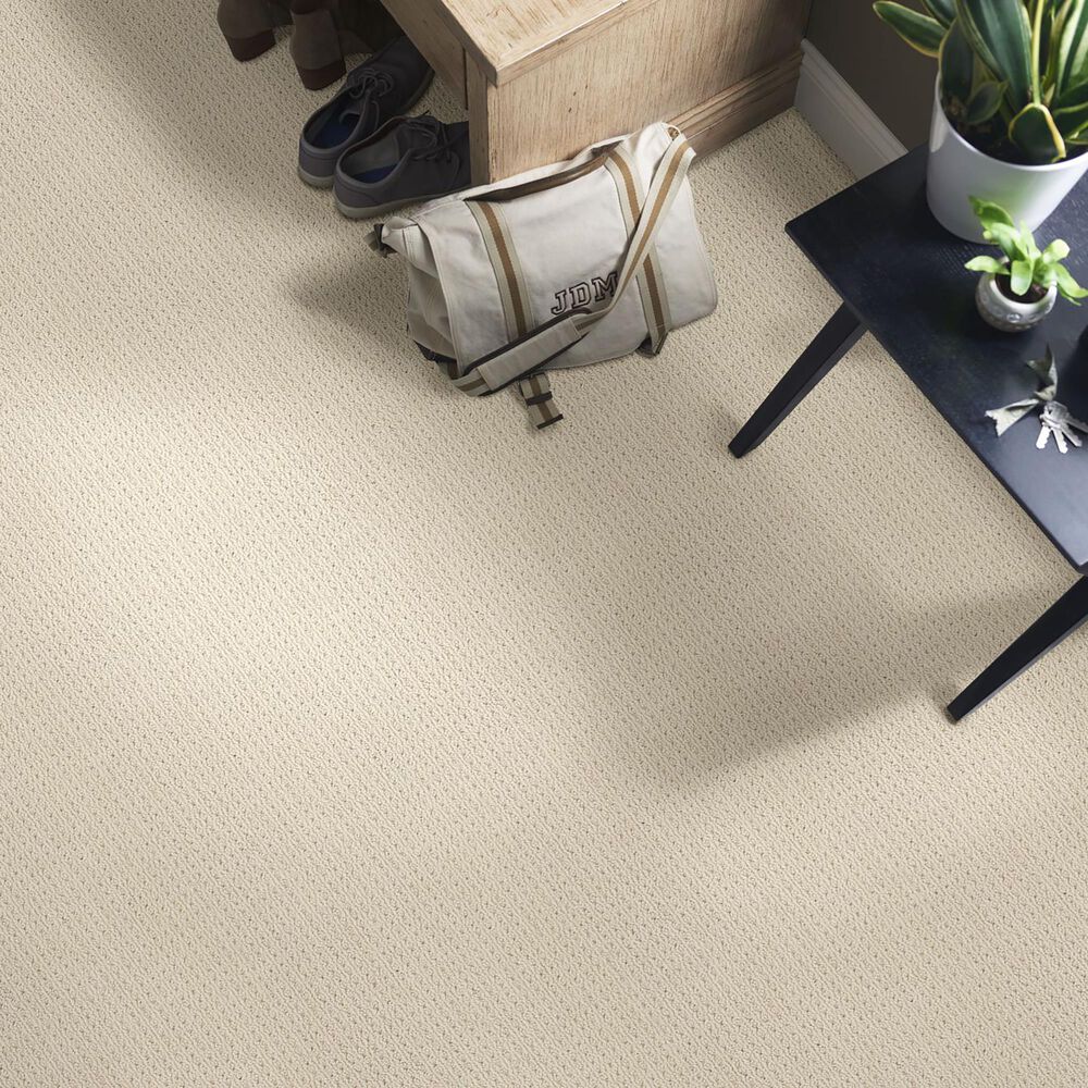 Anderson Tuftex San Lucas Carpet in Biscuit, , large