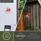 Vaxcel Dorado 9" 1-Light Outdoor Wall Sconce in Red, , large