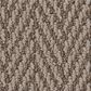 Anderson Tuftex Always Natural Carpet in Tuscan, , large