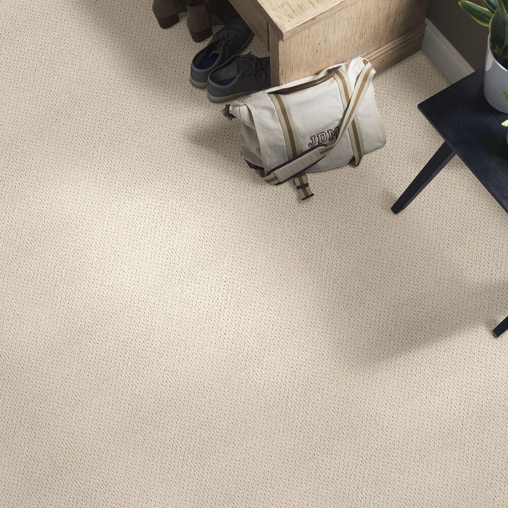 Anderson Tuftex Crafted Carpet in Natural, , large