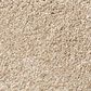 Shaw Find Your Comfort NS II Carpet in Walk on The Beach, , large