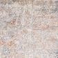 Safavieh Aston ASN728 4" x 6" Ivory and Grey Area Rug, , large