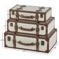 Maple and Jade 3-Piece Vintage Storage Decorative Trunk in Light Gray and Brown, , large