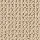 Anderson Tuftex Arden Park Carpet in Gelato, , large