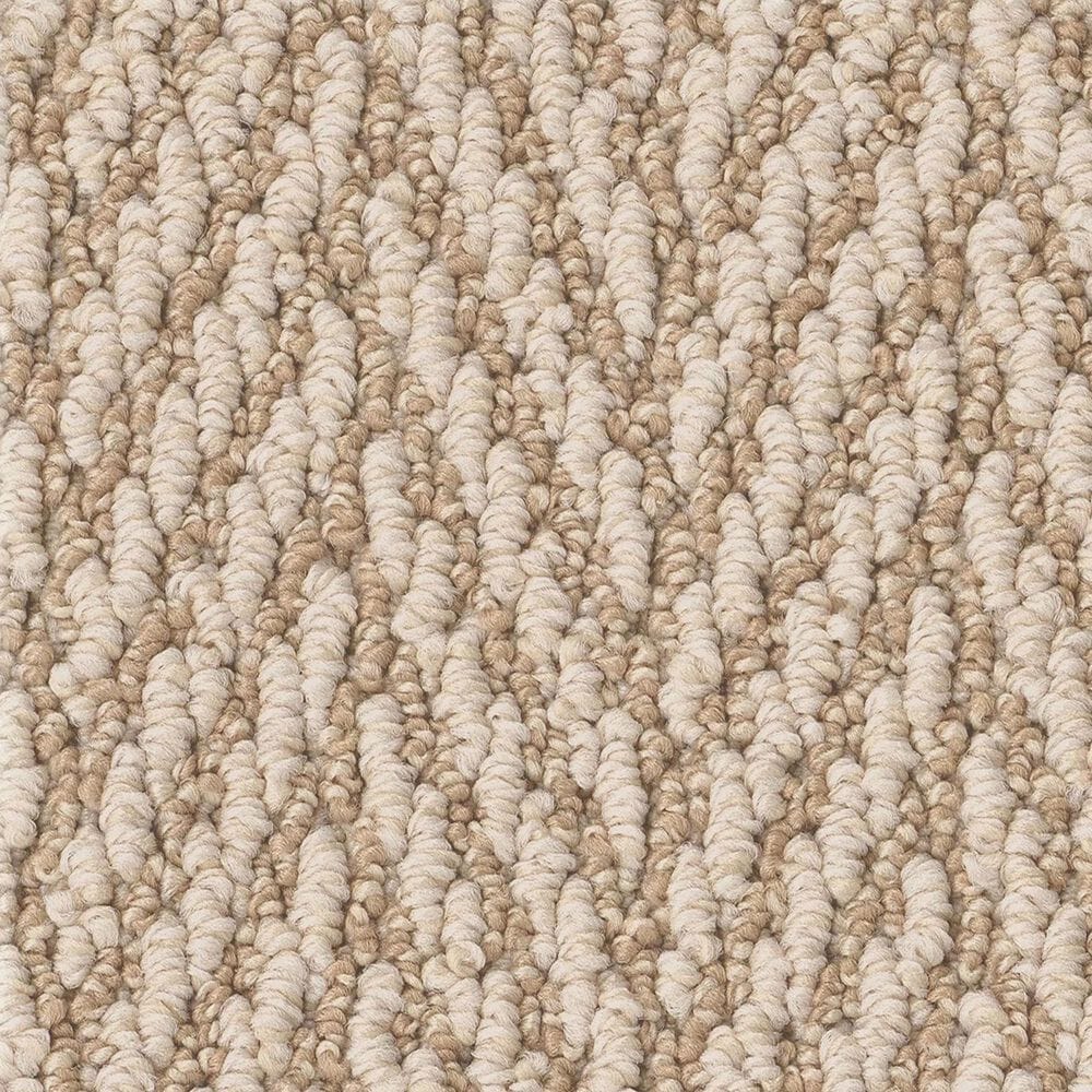 Anderson Tuftex Always Natural Carpet in Boutique, , large