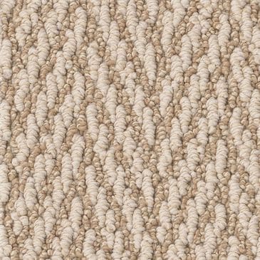 Anderson Tuftex Always Natural Carpet in Boutique, , large