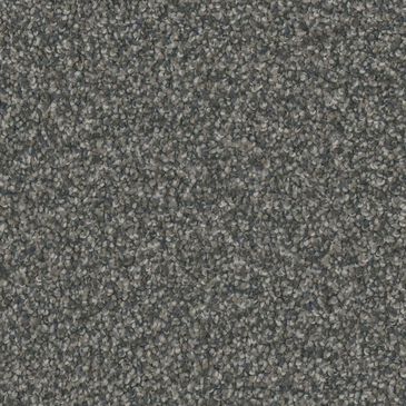 Phenix Vista Gold Carpet in Riverfront, , large