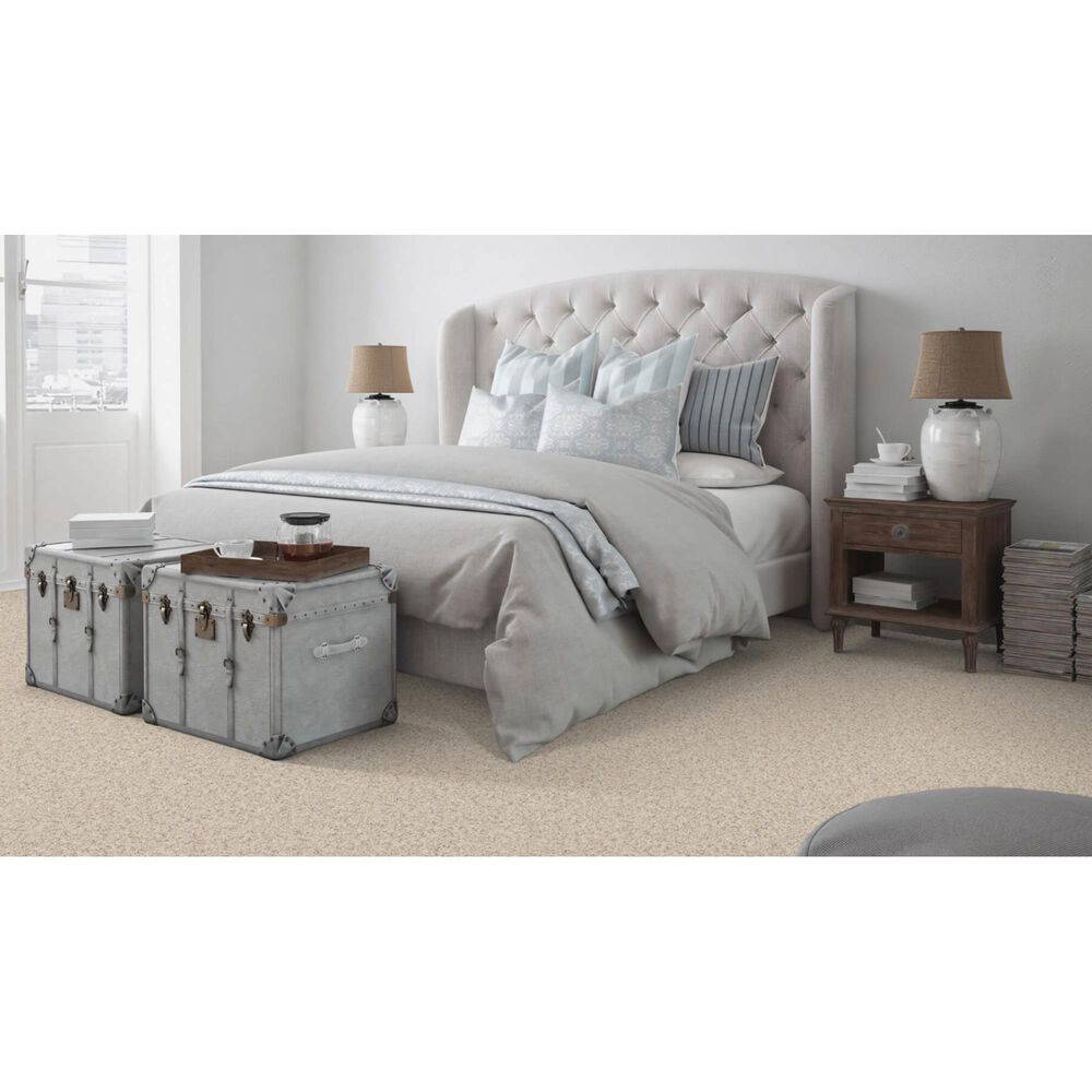 Dixie Home Bella Carpet in Pet, , large