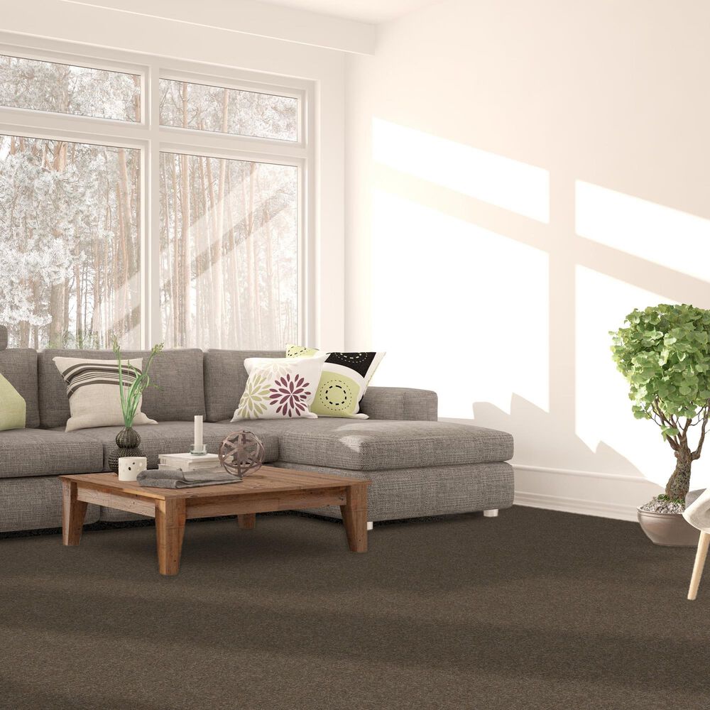 Dream Weaver Serene II Carpet in Walnut Grove, , large