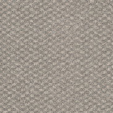 Dixie Home Soft Touch Carpet in Harmony, , large