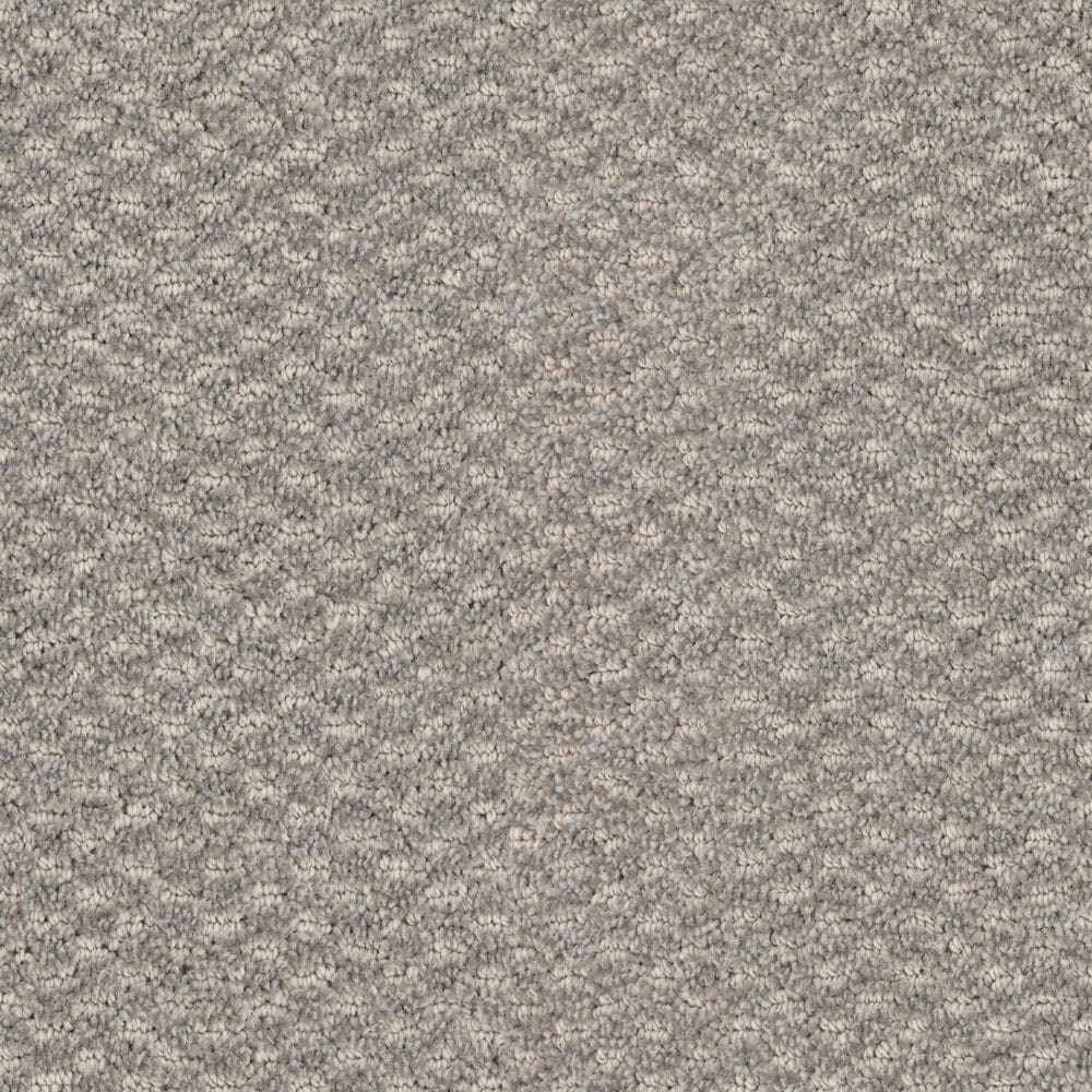 Dixie Home Soft Touch Carpet in Harmony, , large