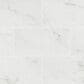 MS International Dymo Calacatta White 12" x 24" Ceramic Tile, , large