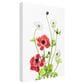 Timberlake Spring Anemone Family 47