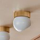 Troy Lighting Odin 1-Light Flush Mount in Patina Brass and Soft White, , large