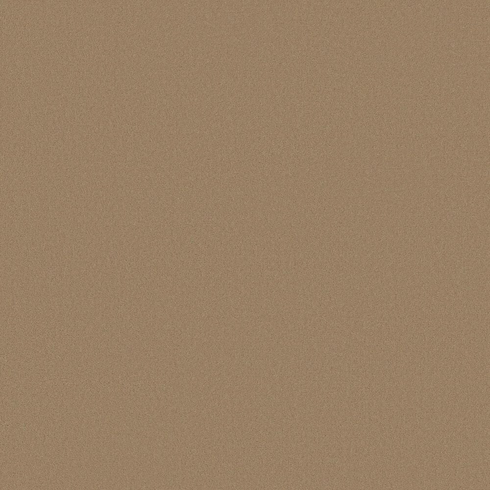 Anderson Tuftex Finery Carpet in Mystic Gold, , large