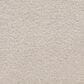 Masland Roadster Carpet in Classy, , large