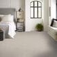Shaw Harmonious III Carpet in Gallery Open, , large