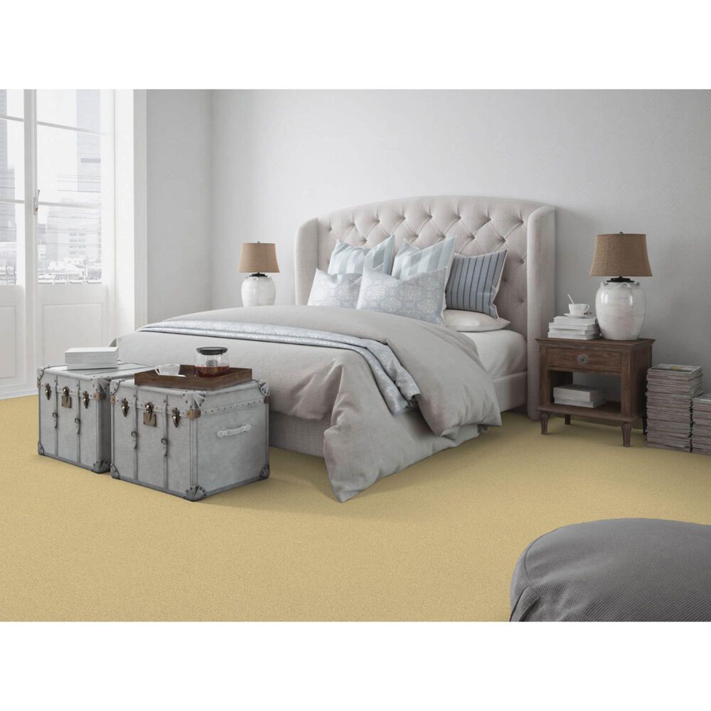 Dixie Home Simplicity Carpet in Portico, , large