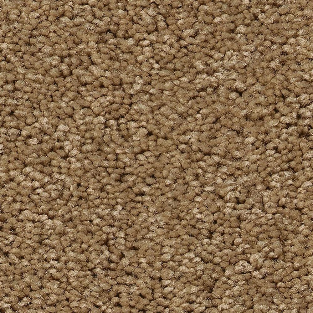 Shaw Las Cruces Carpet in Radiance, , large