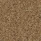 Shaw Las Cruces Carpet in Radiance, , large