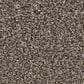 Shaw Affirmation II Carpet in Havana, , large