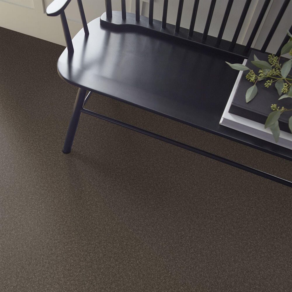 Shaw Hard At Play I Carpet in Urban Rustic, , large