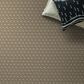 Anderson Tuftex Havencrest Carpet in Rattan, , large