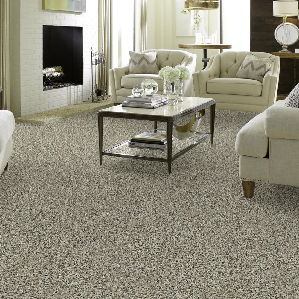 Shaw Break Away Tonal Carpet in Stepping Stone, , large