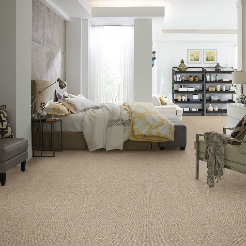 Anderson Tuftex Loredo Carpet in Coastal Home, , large