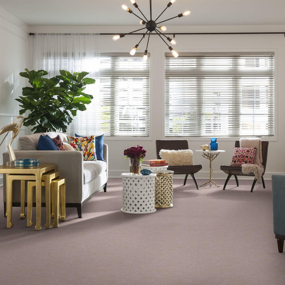 Shaw Find Your Comfort NS II Carpet in Evening in Paris, , large