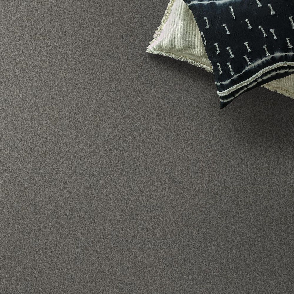 Anderson Tuftex Terra Nova Carpet in Lunar, , large
