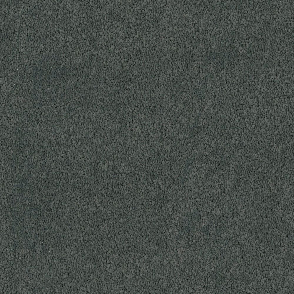 Fabrica Tribute Carpet in Delmar, , large