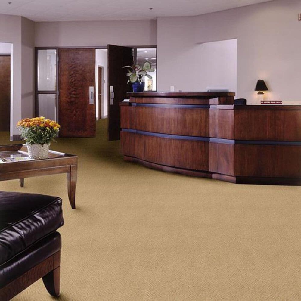 Shaw Legend Falls Carpet in Quail Creek, , large