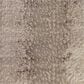 Jaipur Catalyst Axis Feather Gray and Moonbeam 5" x 7"6" Area Rug, , large