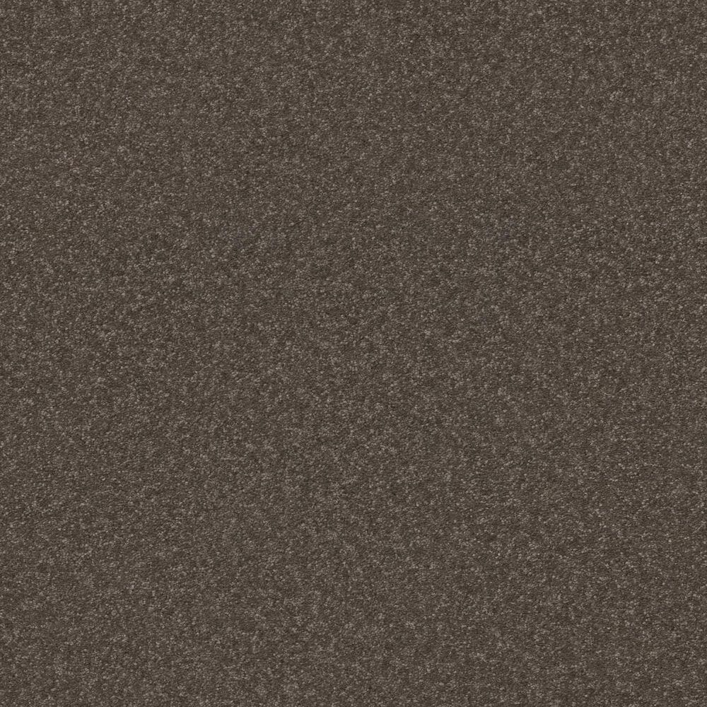 Shaw Hard At Play II Carpet in Urban Rustic, , large