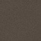 Shaw Hard At Play II Carpet in Urban Rustic, , large