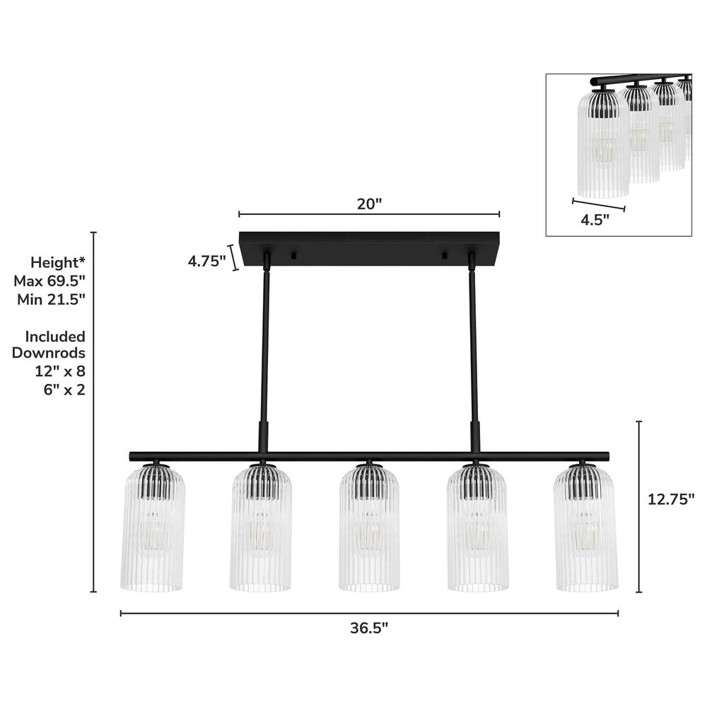 Hunter Beverly Glen Jasmine Roth 5-Light Island Chandelier in Matte Black, , large