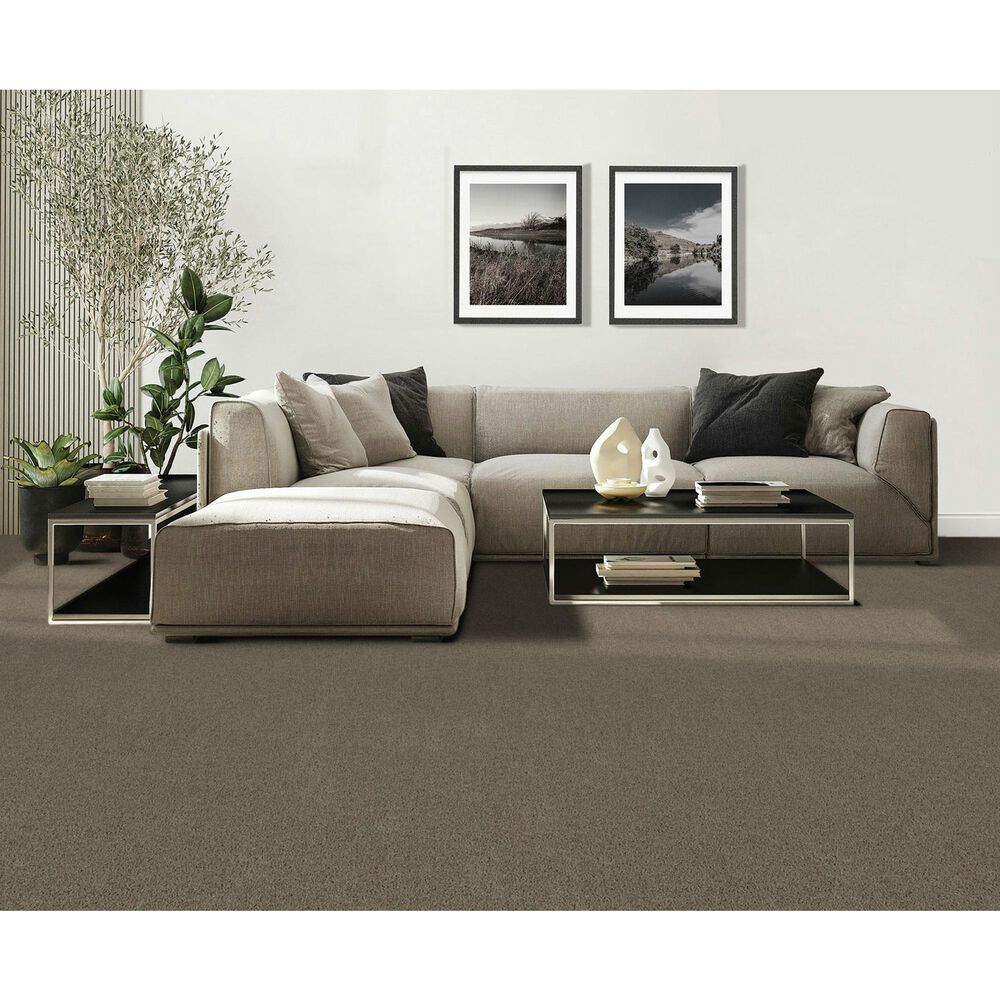 Mohawk Olympus III Carpet in Windsome, , large