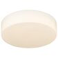 Golden Lighting Toli 1-Light Flush Mount in Brushed Champagne Bronze, , large